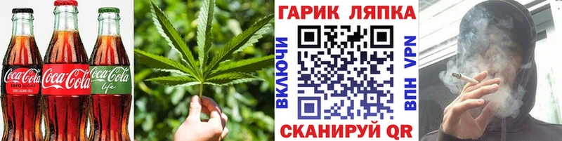 Купить закладки  Лыткарино  Cannafood конопля 