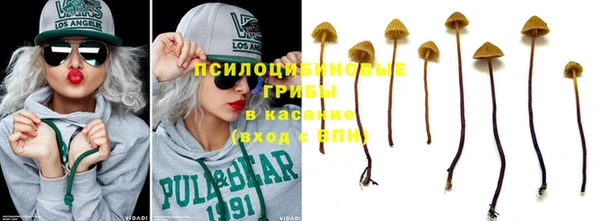 героин Каменка