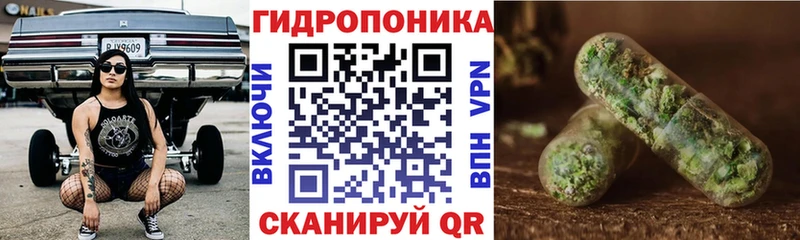 Купить закладки  Лыткарино  Шишки марихуана индика 
